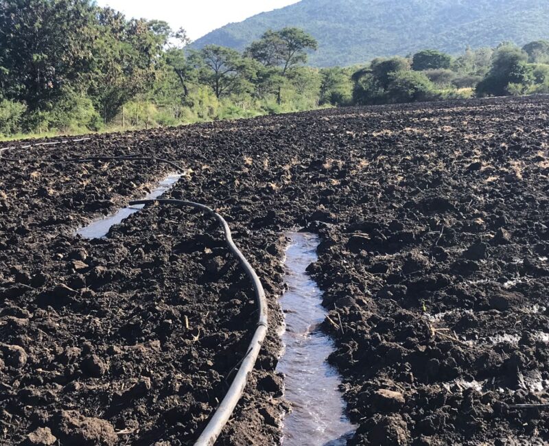 WhatsApp Image 2026-01-22 at 1.18.46 AM (2)