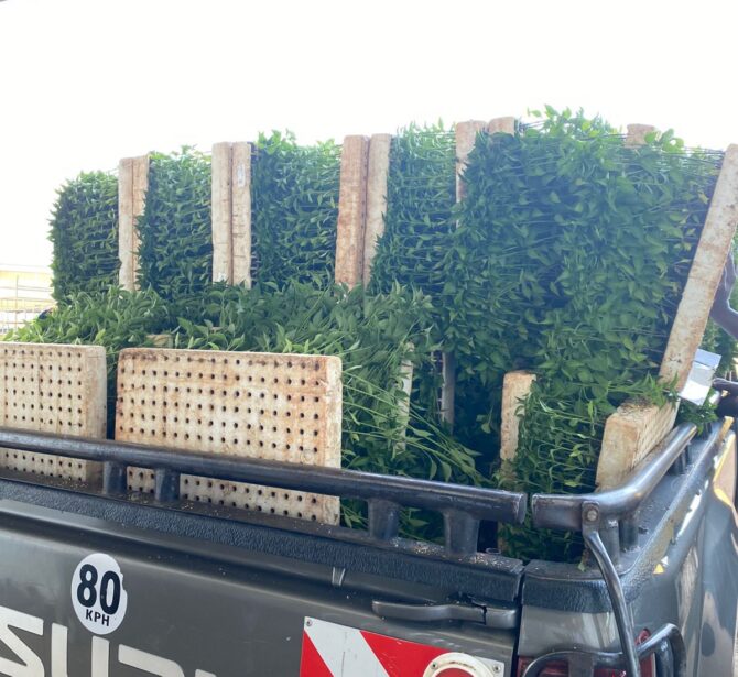 WhatsApp Image 2026-01-22 at 1.18.46 AM