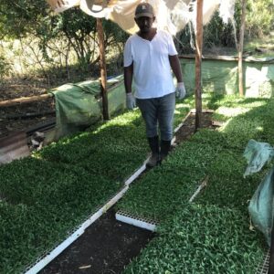 WhatsApp Image 2026-01-22 at 1.25.08 AM (1)