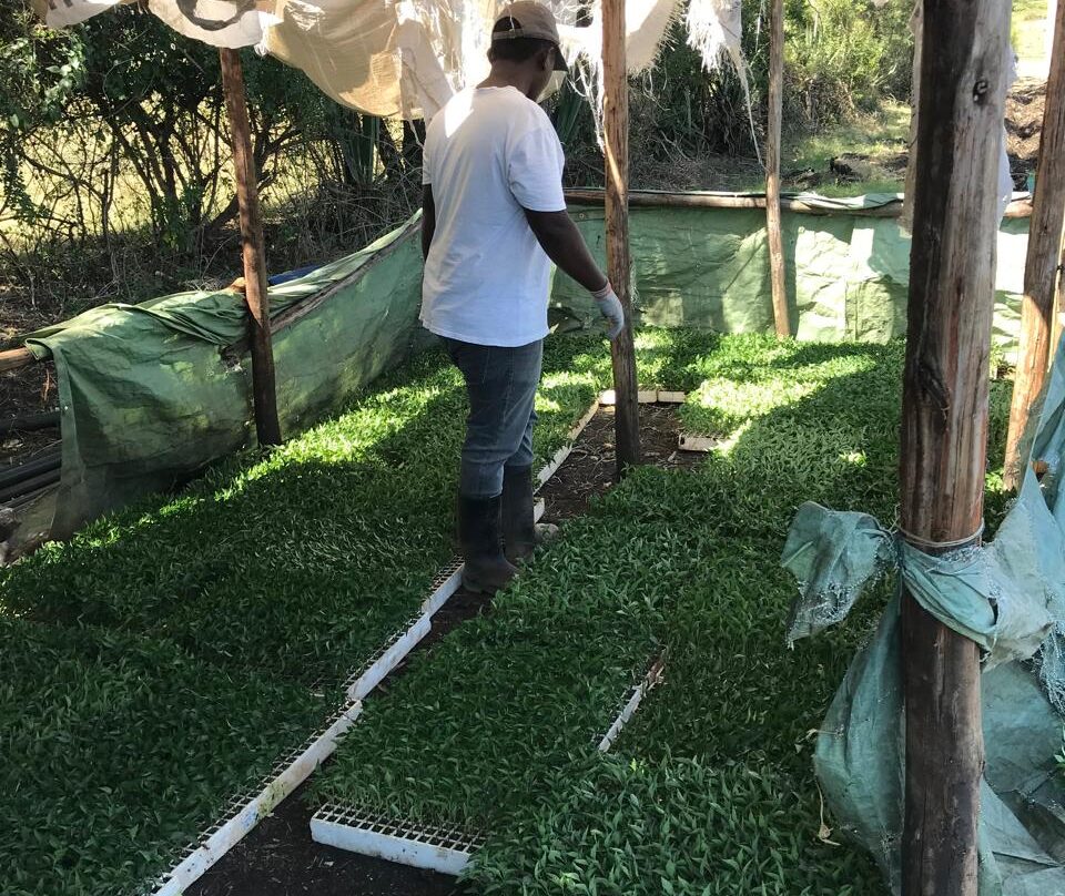 WhatsApp Image 2026-01-22 at 1.25.08 AM (2)