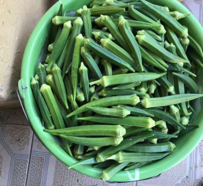 WhatsApp Image 2026-01-22 at 1.28.27 AM (1)