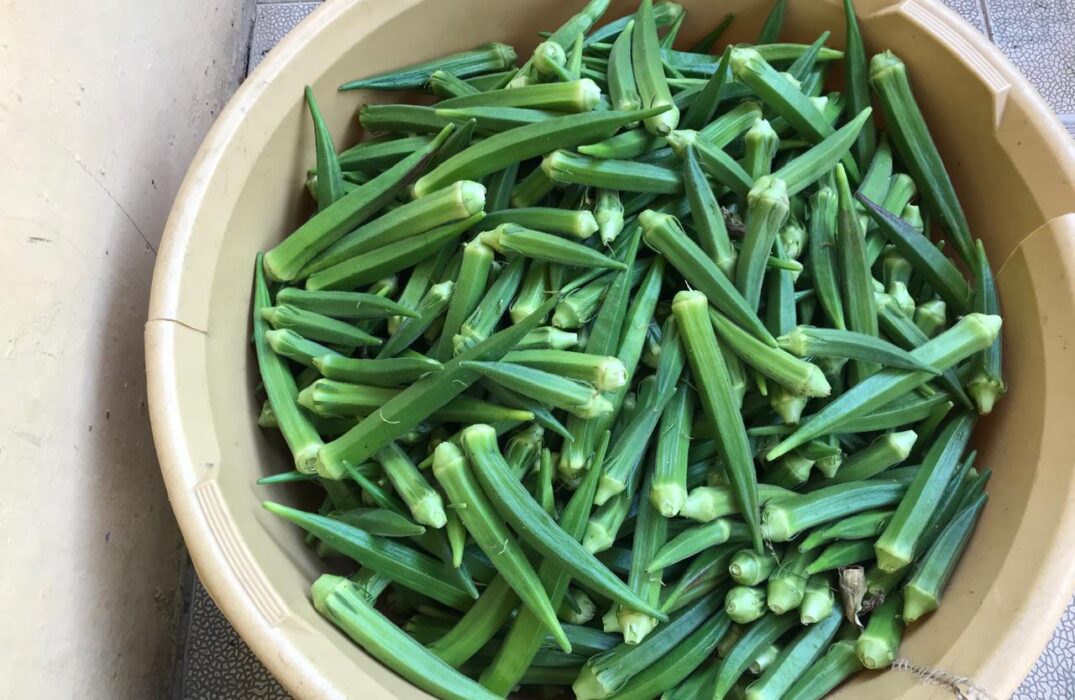 WhatsApp Image 2026-01-22 at 1.28.27 AM (2)