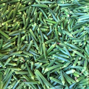 WhatsApp Image 2026-01-22 at 1.28.27 AM